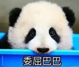 大熊猫的便便做成纸巾啦43元1盒你敢不敢买来擦擦嘴