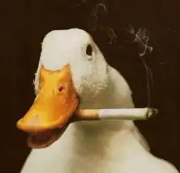 动物们都成精了,这么搞笑谁受得了
