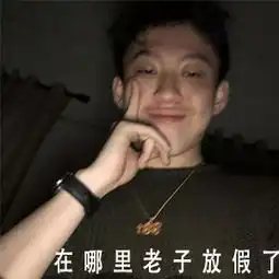 在哪里老子放假了表情包抖音在哪里老子放假了高清无水印图片游戏吧