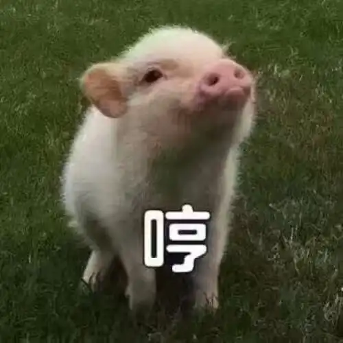 爆笑gif看一场电影,你买这么一大袋爆米花,嚼得完吗内容