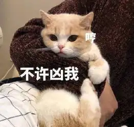 搞笑段子排队两个小时,就为那两分钟