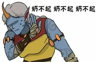 惨这英雄被称为辅助之王传送闪现保ad还被卖
