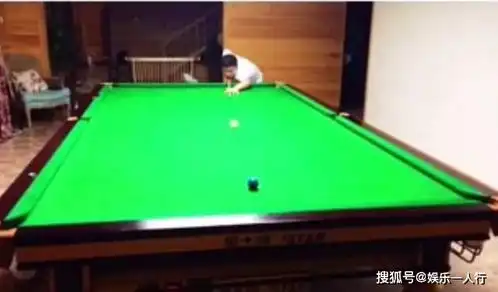参观丁俊晖现实的家,客厅外就是一片森林,居住环境也太好了