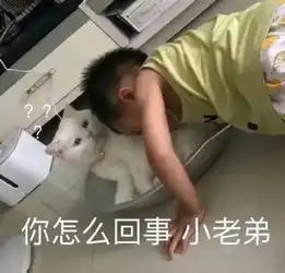 搞笑笑话段子你刷碗还是我刷碗
