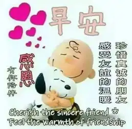 测试一个超长简介的文章