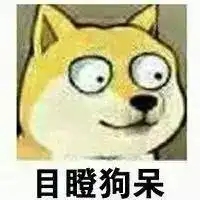 国际接吻日接吻的时候为什么要闭眼睛