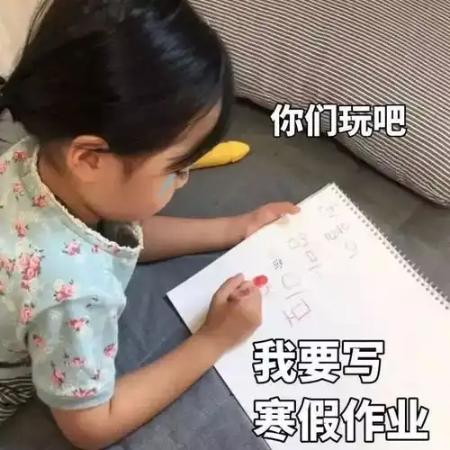 表情包你们玩吧,我要写寒假作业