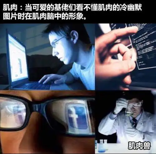 肌肉冷幽默头皮发麻这里的冷笑话居然有股文艺的气息