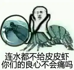 皮皮虾我们走皮皮虾表情包