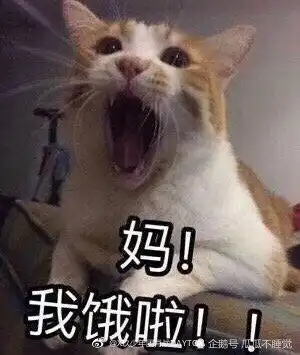 肖战出来营业不减了,吃面包去