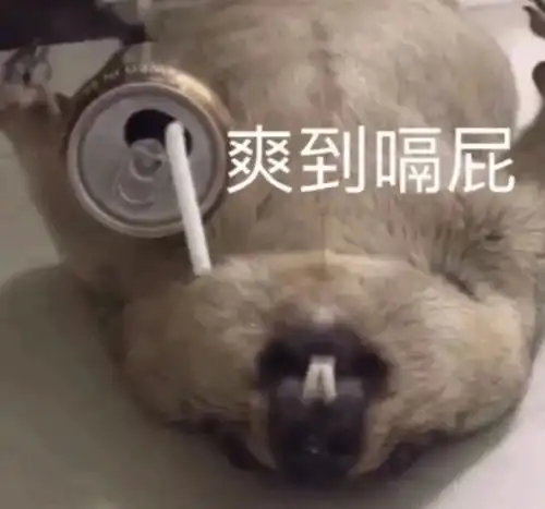 测试一个超长简介的文章