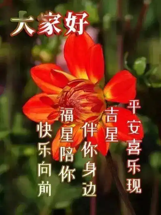 8月16日全新版很漂亮的早上好问候图片微信清晨问候大家的早安祝福语