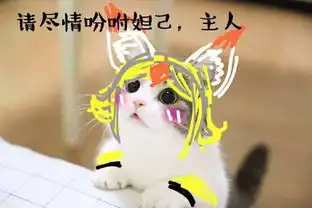 王者搞笑表情包来袭,小猫咪化身妲己大乔回家诅咒太可怕