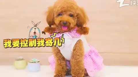 妹子恶搞小舅舅,注意看舅舅的表情,差点把我笑岔气了