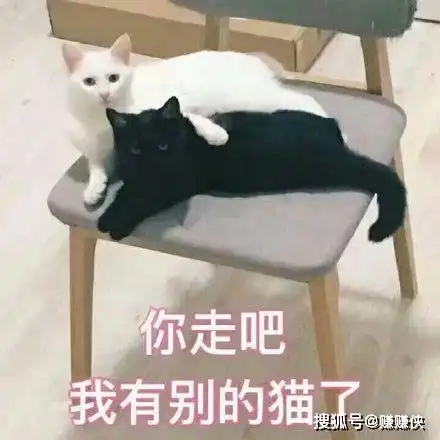 可爱搞笑的热门表情包图片