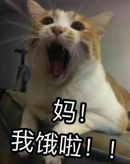 幽默搞笑妹子对我微微一笑,我跟你没关系的