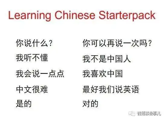 老外被学中文折磨疯了,表情包疯狂吐槽,教授都疯了好几个了