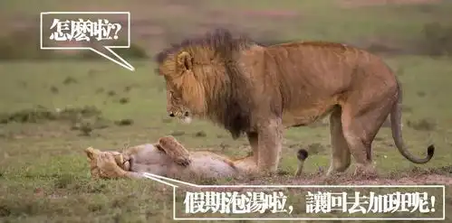 你愿意陪我一起加班吗不愿意