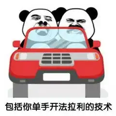 搞笑金馆长熊猫头的女孩子论微信qq表情包图片
