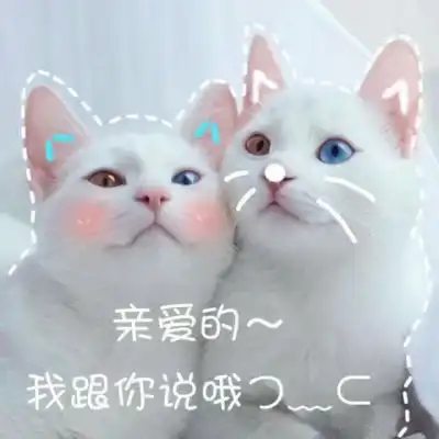 墨夜笙仙女表情包