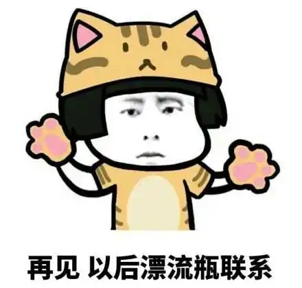 苏格兰两位小男孩打破了一项吉尼斯世界纪录,航行最远的玩具船