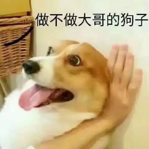 表情精选