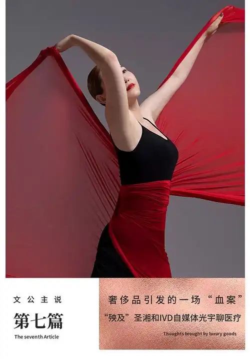 文公主说系列奢侈品引发的一场血案,殃及圣湘和光宇包包