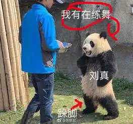 在微博上看到一张刘真老师的表情包,太好笑了哈哈哈