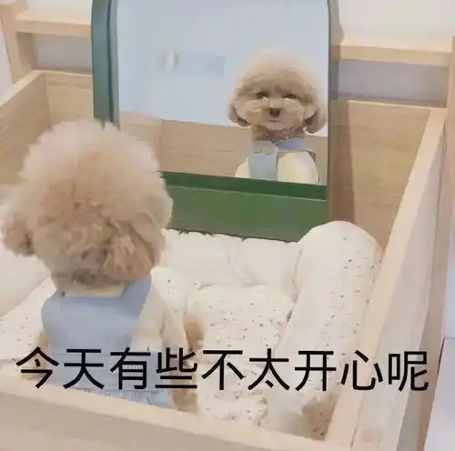 太骚了得吃药