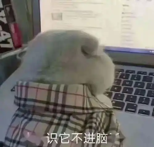 今日表情推荐,52