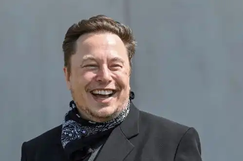 美国首富开骂,称美国副总统候选人是蠢蛋,还加了个嘲讽的表情