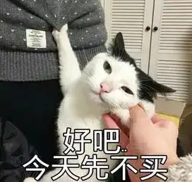 doyouknow你表情包中的猫