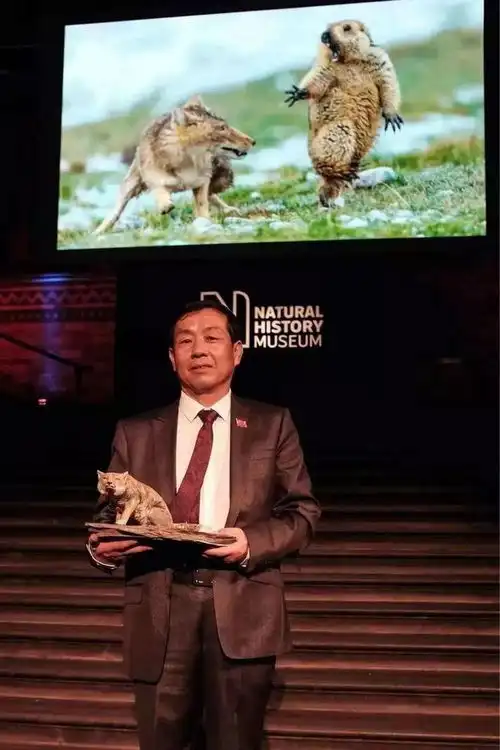 土拨鼠又乖巧又可爱,但不要靠它太近,否则很可能遭受不幸
