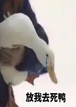 全员恶人图片好玩吗全员恶人图片怎么玩用户评论