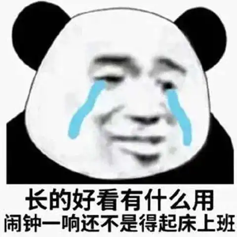 表情包真是太棒了,什么都没学到