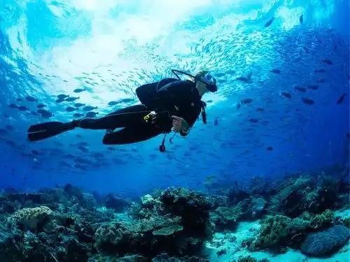 外国一男子在海底潜水,意外发现水底有大量人群聚集