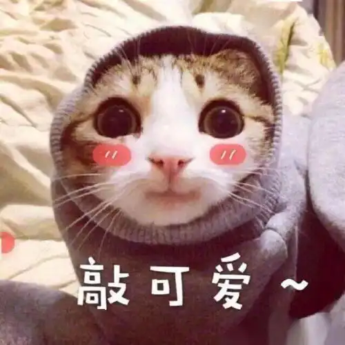 广美附中2020届学生毕业优秀作业展