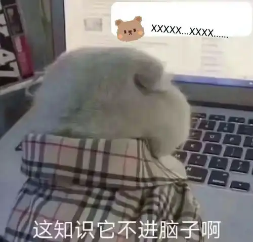 开学第一个月,数学各版本教材应该怎么学