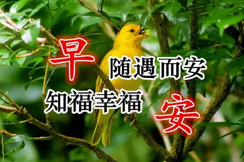 早上好的短句子早上好表情早上好问候专辑早上好表情包