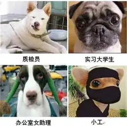 建筑施工人员表情图,非常搞笑