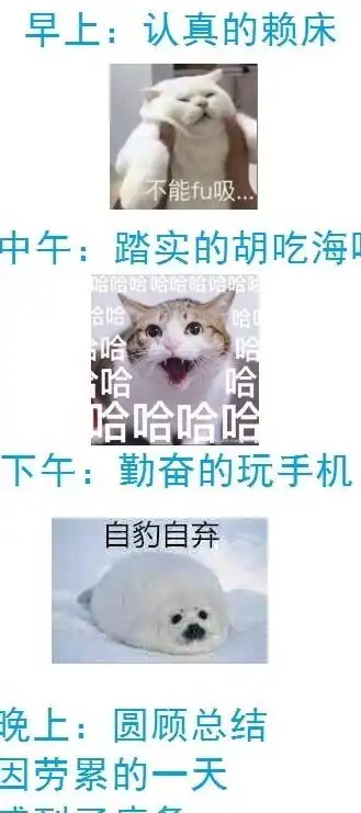 幽默搞笑段子集女孩子晚上尽量不要一个人出门,真的很危险