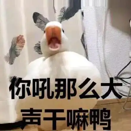 十条笑话老师,你还让不让人家睡觉啊