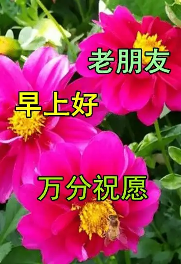 秋天早上好动态表情图片及动图美图大全一个有灵魂的女人,才是一个有魅力的女人人生