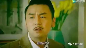 一看到雷佳音去演谍战剧,我就一万个不放心啊和平饭店要承包你一个月的笑点
