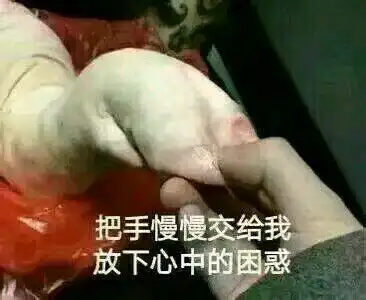 撩小姐姐表情包猪猪系列把手慢慢交给我,放下心中的困惑