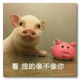 我闭眼了你亲吧表情图片我闭眼了你亲吧表情包无水印版jz5u绿色下载站