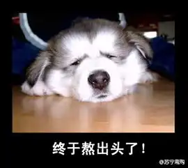 2013年第一部恐怖大片连上八天班今天终于下档总算到周五了啊终于熬出头了啊
