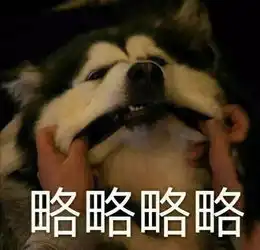 段子丨表情包要钱略略略