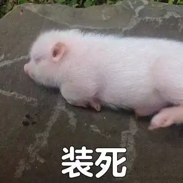 在深圳买房到底有多困难看哭了