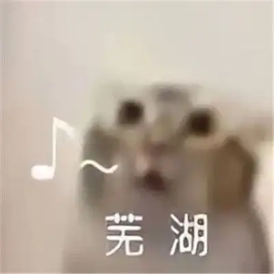 很实用的又很热门的个性聊天表情奖励屎一份搞笑表情合集